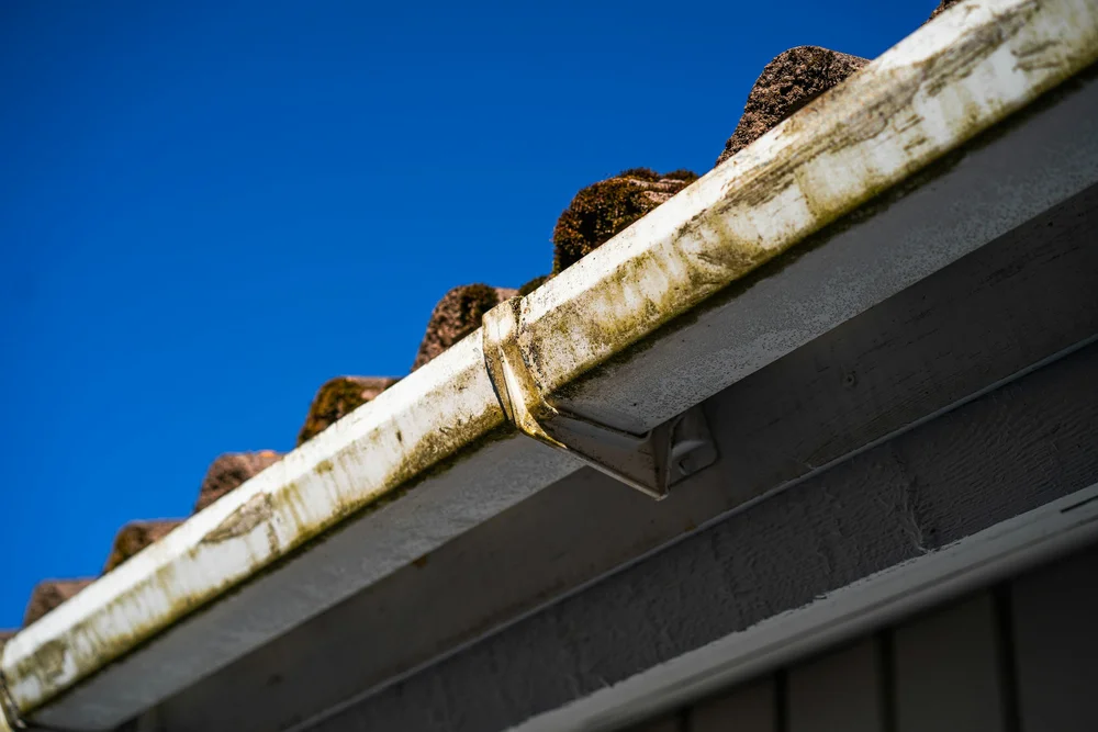 Close-up of a weathered gutter with mossy tiles on top, against a clear blue sky